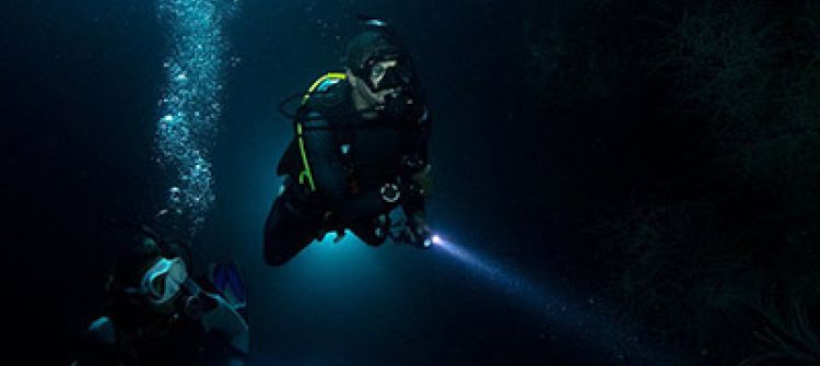 Two divers night diving in Kauai 