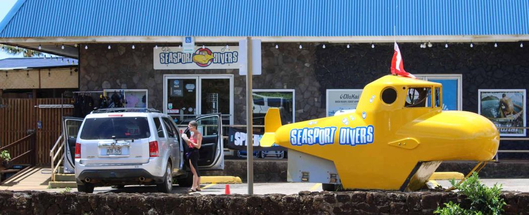 Seasport Divers' dive shop view from the front with yellow submarine sculpture