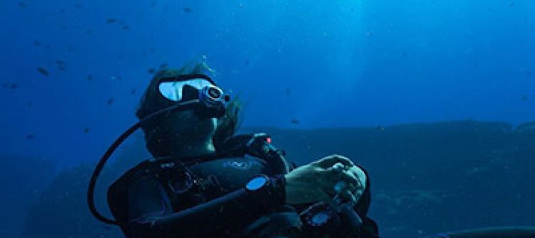Scuba diver female relaxing underwater while watching fish swim by