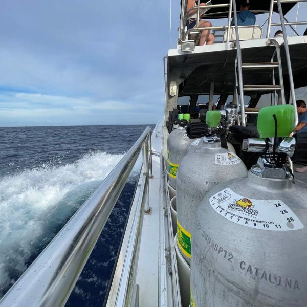 scuba diving tanks on the Seasport Divers boat on the way to a dive