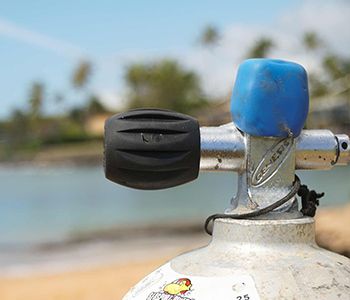 PADI award for Seasport Divers' 30 year anniversary